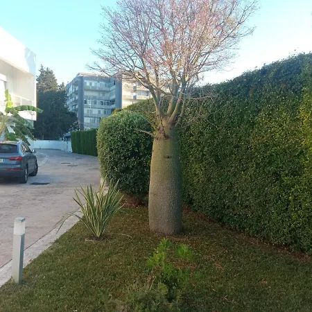 Park